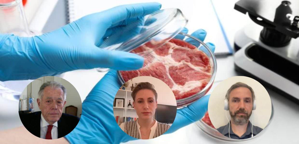 Carne coltivata: opportunità o rischio? L'inchiesta di Teleambiente