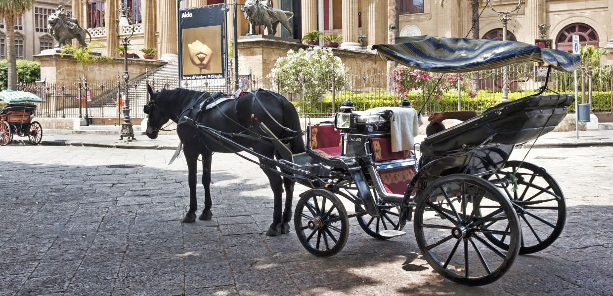 Palermo, cavallo stramazza a terra mentre trasporta turisti