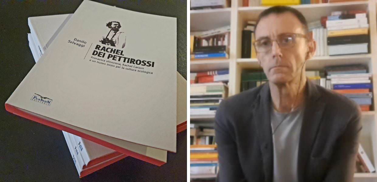 Libri, c'è "Rachel dei pettirossi" di Danilo Selvaggi