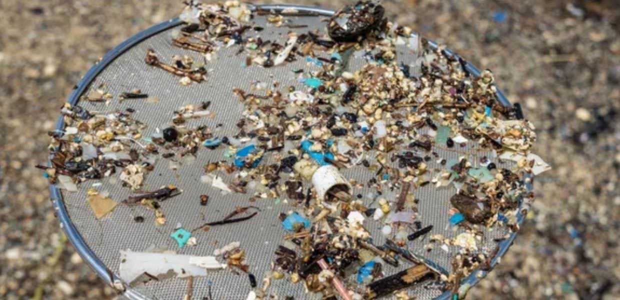 Le microplastiche hanno invaso anche il Mar Glaciale Artico. L'allarme da uno studio