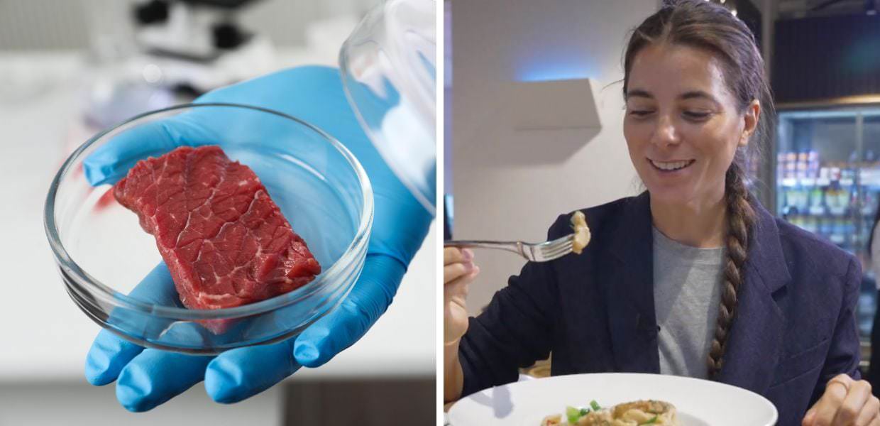 A "Report" l'inchiesta sulla carne coltivata: "Ecco che sapore ha"