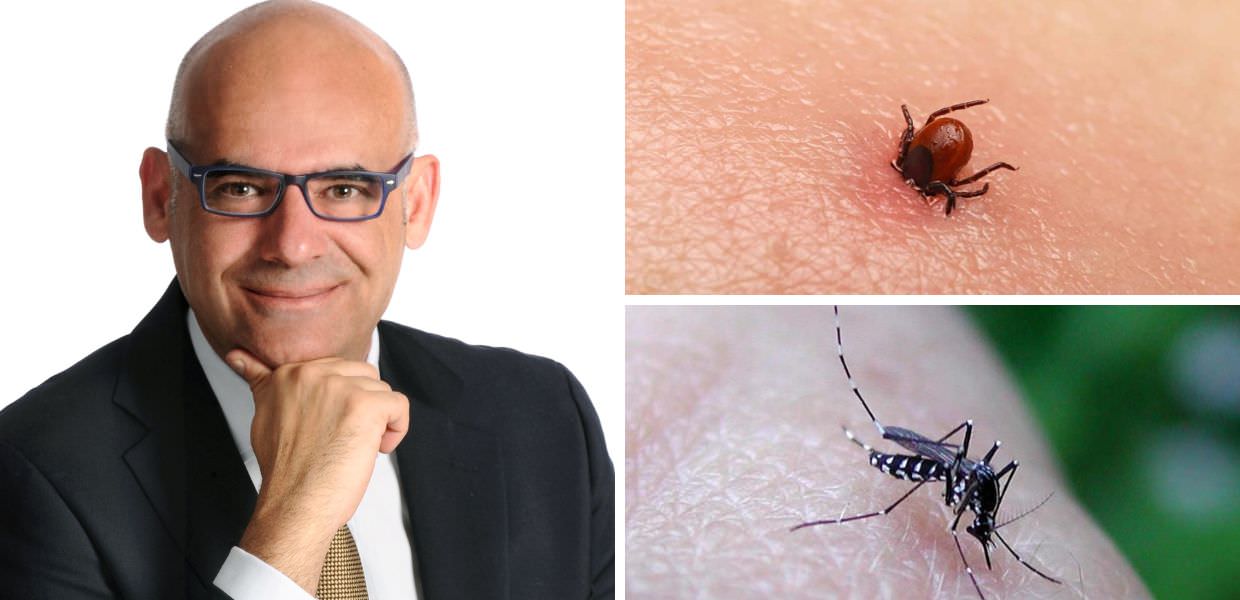 estate come difendersi zecche zanzare