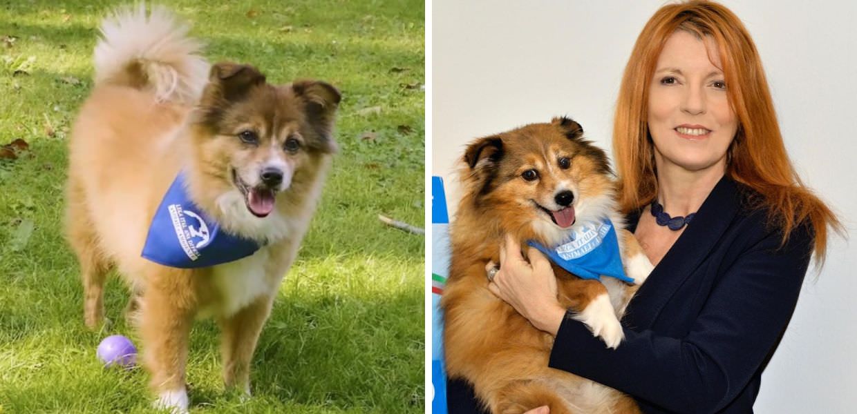 Addio a Lucky, il cane mascotte di "Dalla parte degli animali"