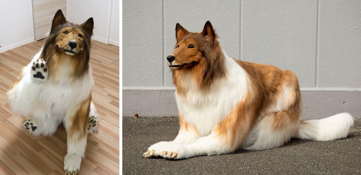 Giappone, uomo spende 15mila dollari per diventare un cane