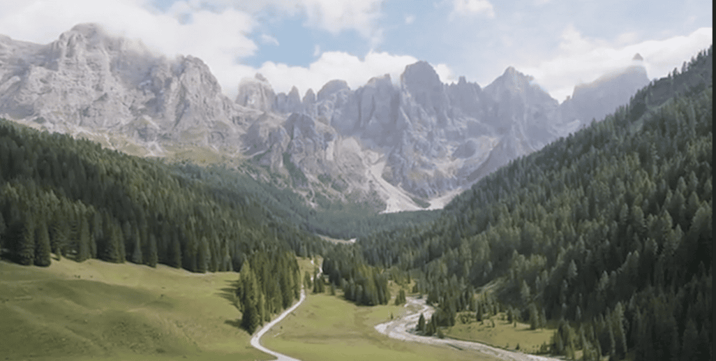 foresta violini val di fiemme