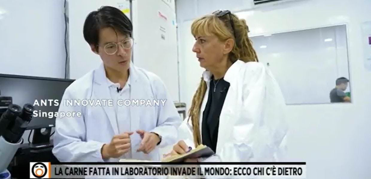 carne sintetica fuori coro etica