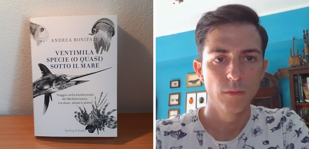 Libri, con Andrea Bonifazi alla scoperta delle "Ventimila specie (o quasi) sotto il mare"