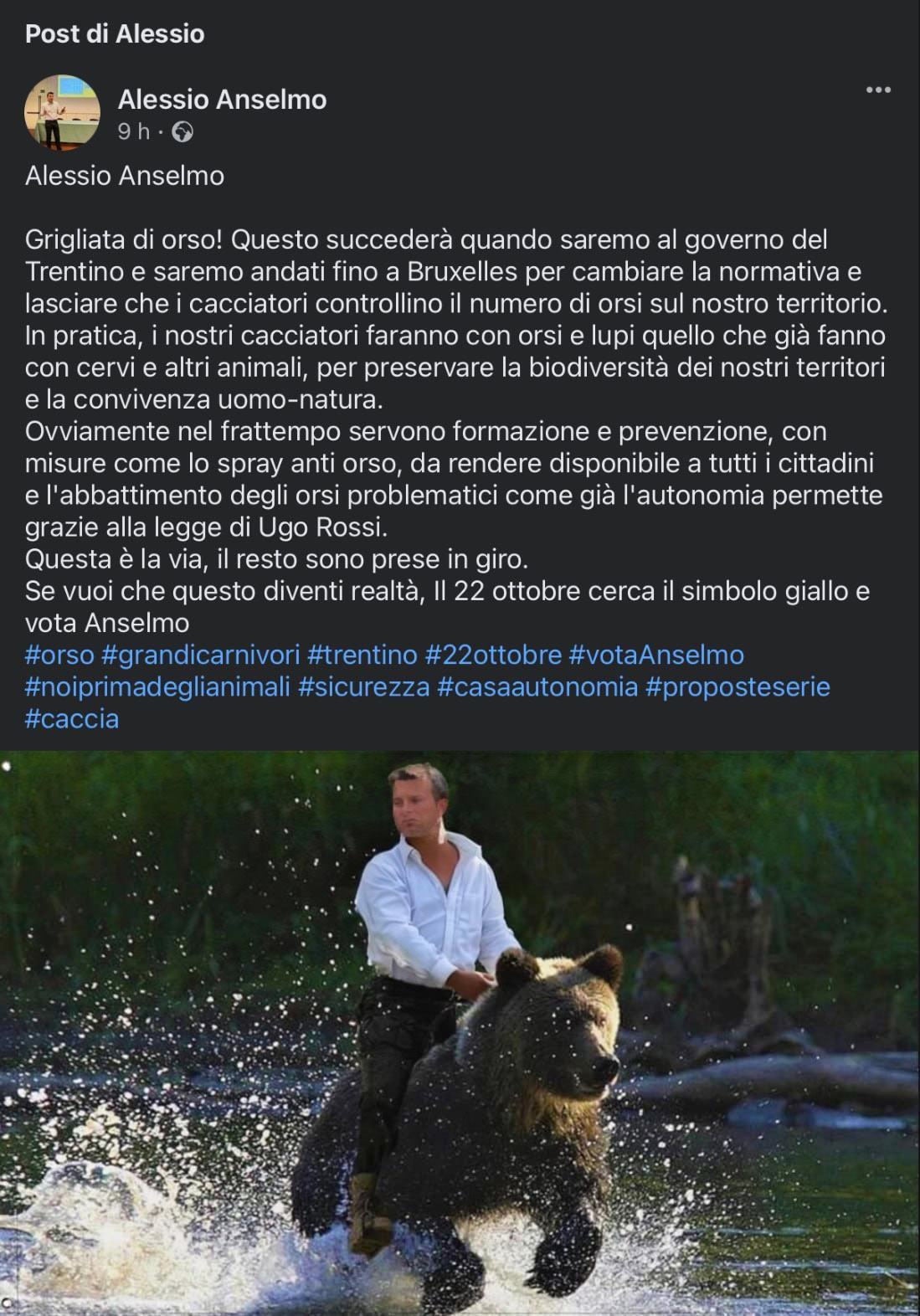 alessio anselmo orsi