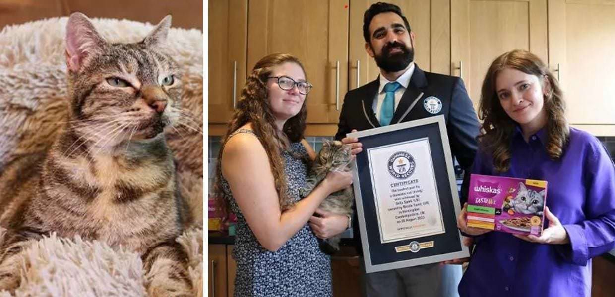 Bella, ecco la gatta con le fusa più rumorose del mondo