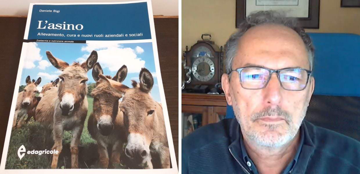 Libri, arriva "L'asino" di Daniele Bigi: la videointervista