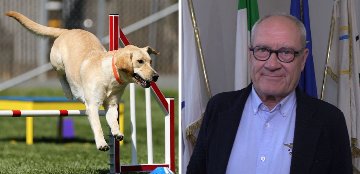 Animali, Massimo Perla: "Ecco perché praticare sport con il proprio cane"