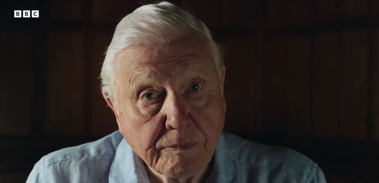 planet earth david attenborough