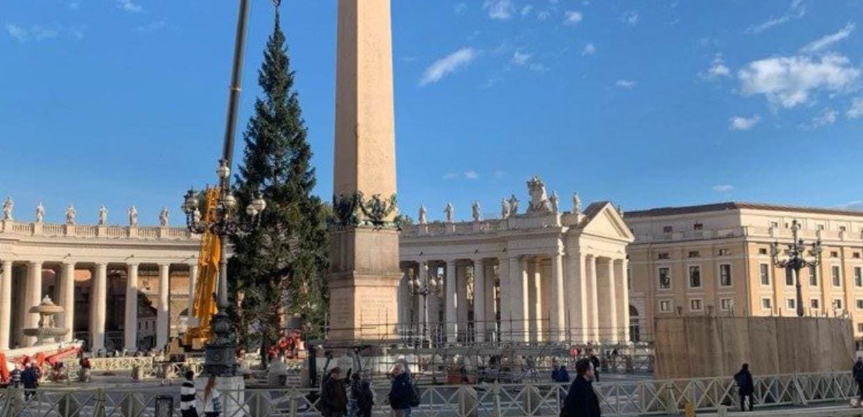 L'Albero di Natale pronto a illuminare il Vaticano: il video