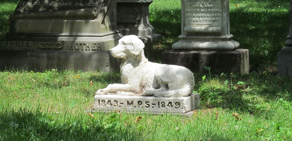 cimitero animali roma