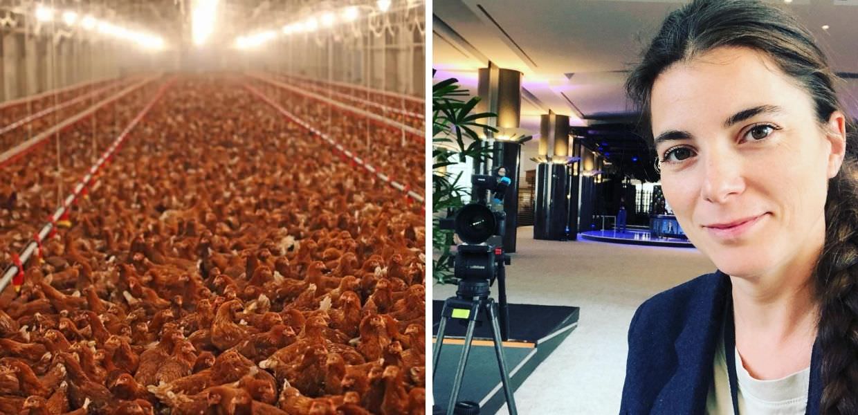 Giulia Innocenzi: "Nel 2024 un documentario choc sugli allevamenti intensivi"