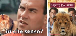 Leone a Ladispoli, l'ironia del web 8 ladispli leone web ironia