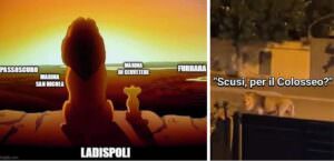Leone a Ladispoli, l'ironia del web 2 ladispoli leone meme