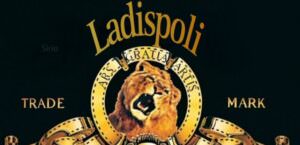 Leone a Ladispoli, l'ironia del web 7 leone ladispoli