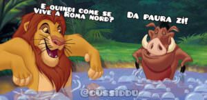 Leone a Ladispoli, l'ironia del web 6 leone ladispoli meme