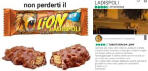 Leone a Ladispoli, l'ironia del web 5 meme leone ladispoli