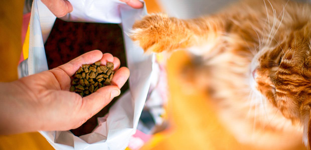 pfas pet food