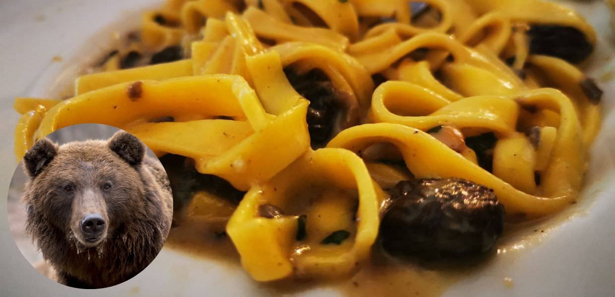 Carne di orso a tavola, polemiche su una trattoria in Slovenia