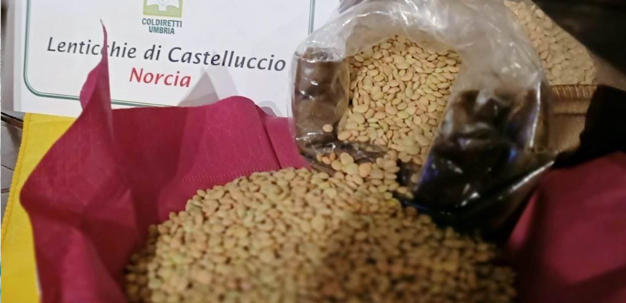 Coldiretti Umbria, Capodanno 2024, lenticchie in 8 tavole su 10, impennata per quelle di Castelluccio