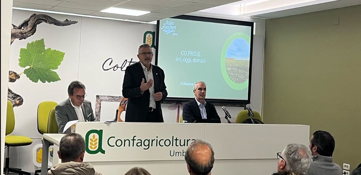 Umbria, la barbabietola da zucchero potrebbe tornare ad essere coltivata