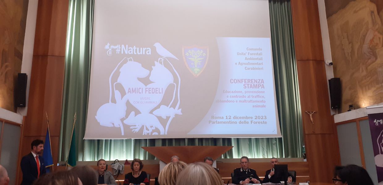 Carabinieri Forestali, sempre dalla parte degli animali