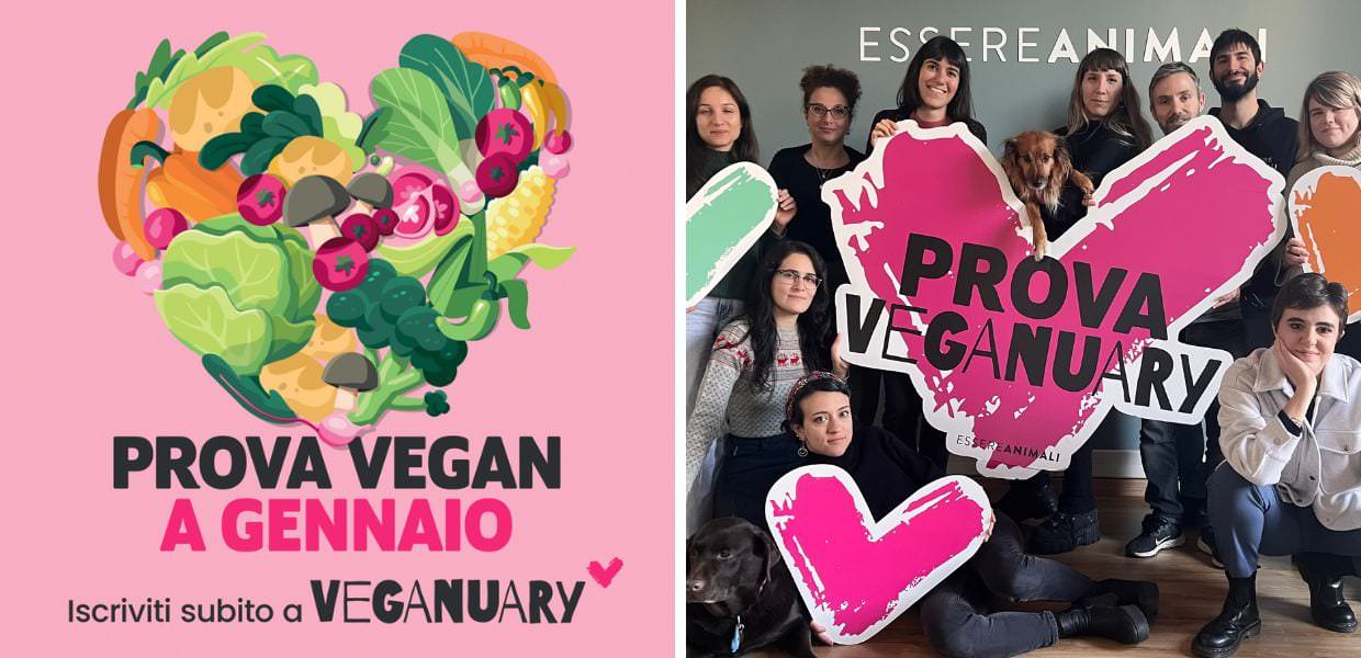 Torna Veganuary, a gennaio 31 giorni di ricette sostenibili