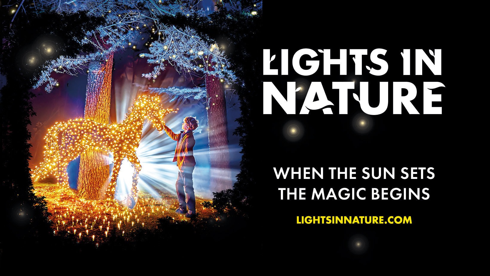 lights in nature roma