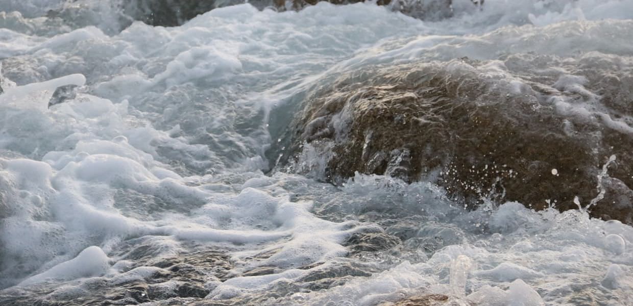 pfas olanda schiuma mare