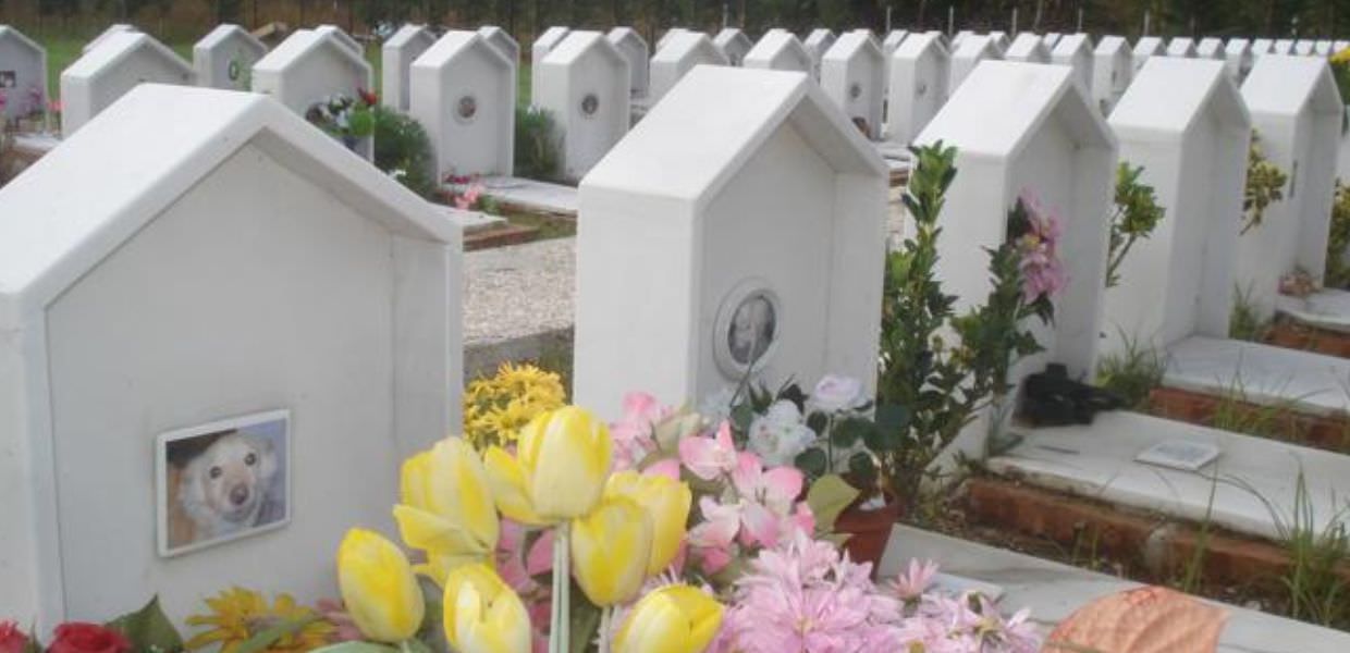 Terni, entro l’anno verrà istituito il primo cimitero per animali
