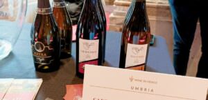 Vino, cantina Violati di San Gemini ha portato l’Umbria al ‘Wine in Venice’, foto vini