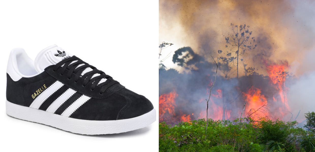 adidas deforestazione amazzonia