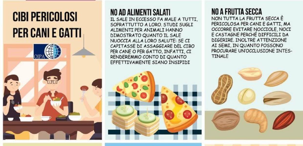 animali cibi da evitare oipa