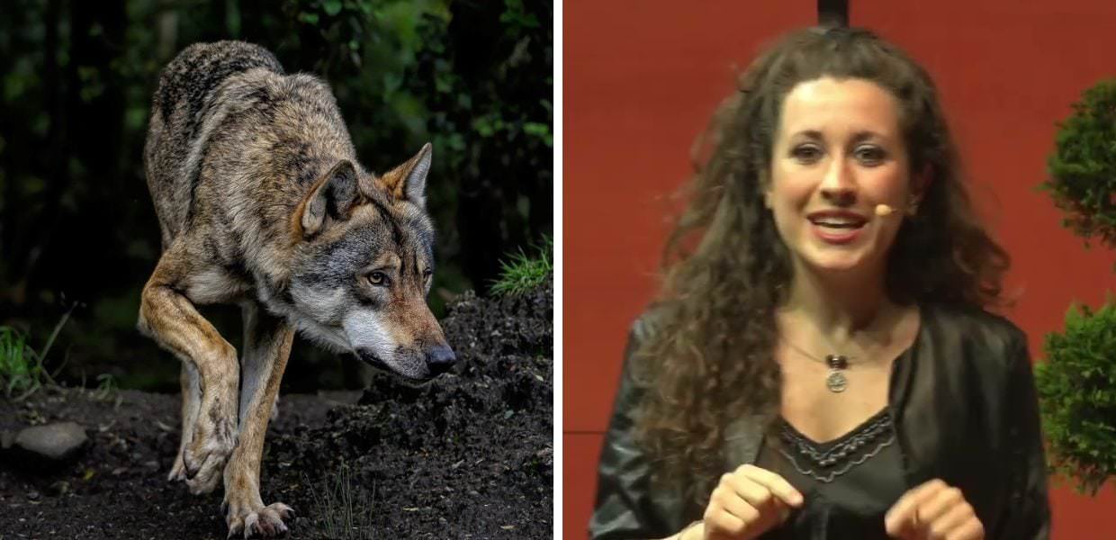 L'etologa Chiara Grasso: "No a selfie con gli animali selvatici"
