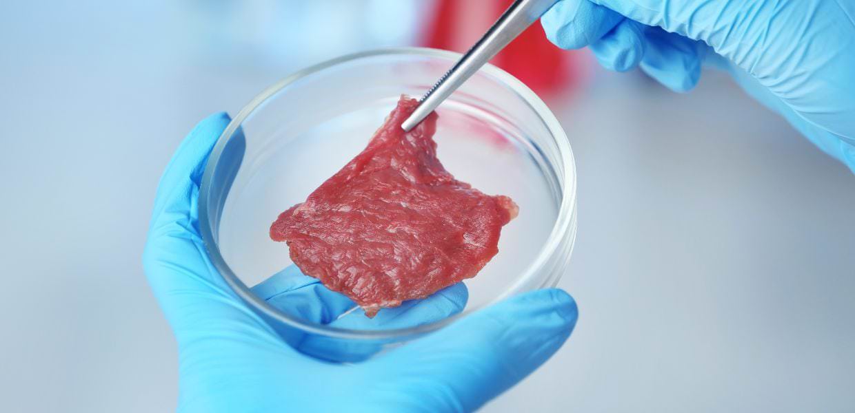 Italia, Francia e Austria contro la carne coltivata: "Una minaccia"