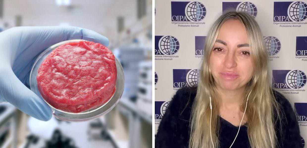 Carne coltivata, OIPA: "Bene la scelta di Israele"