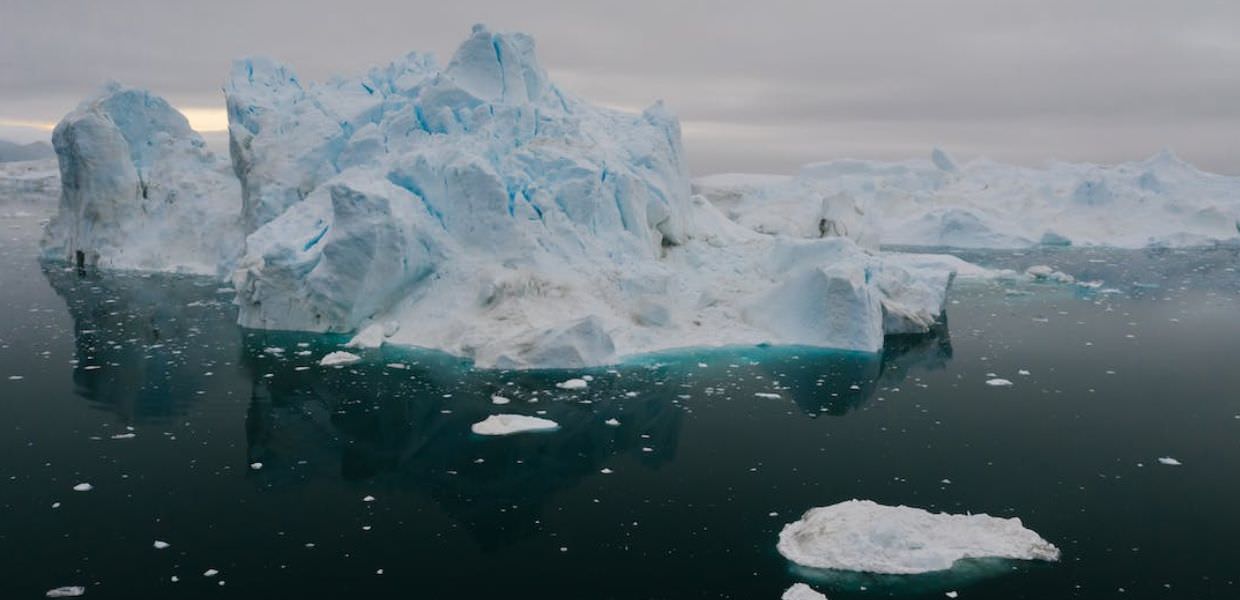 pfas oceano artico atlantico inquinamento