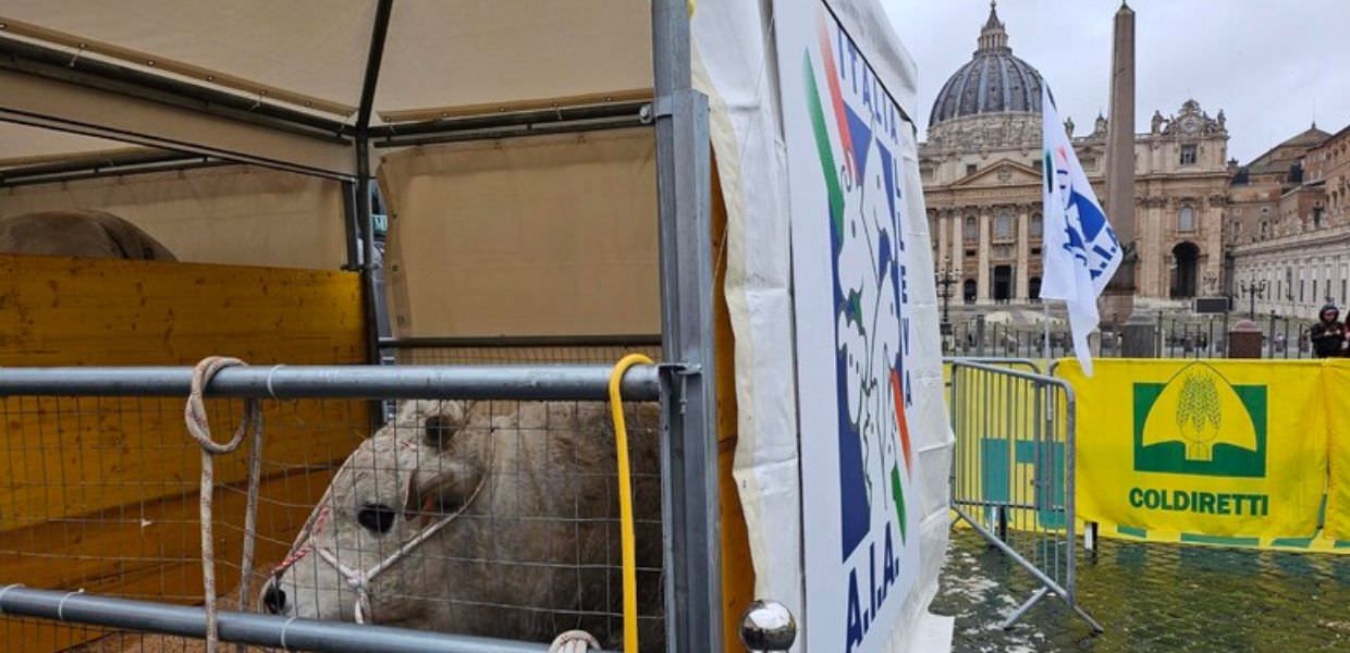 Sant'Antonio Abate, Coldiretti a Roma: "Persa una stalla su cinque"
