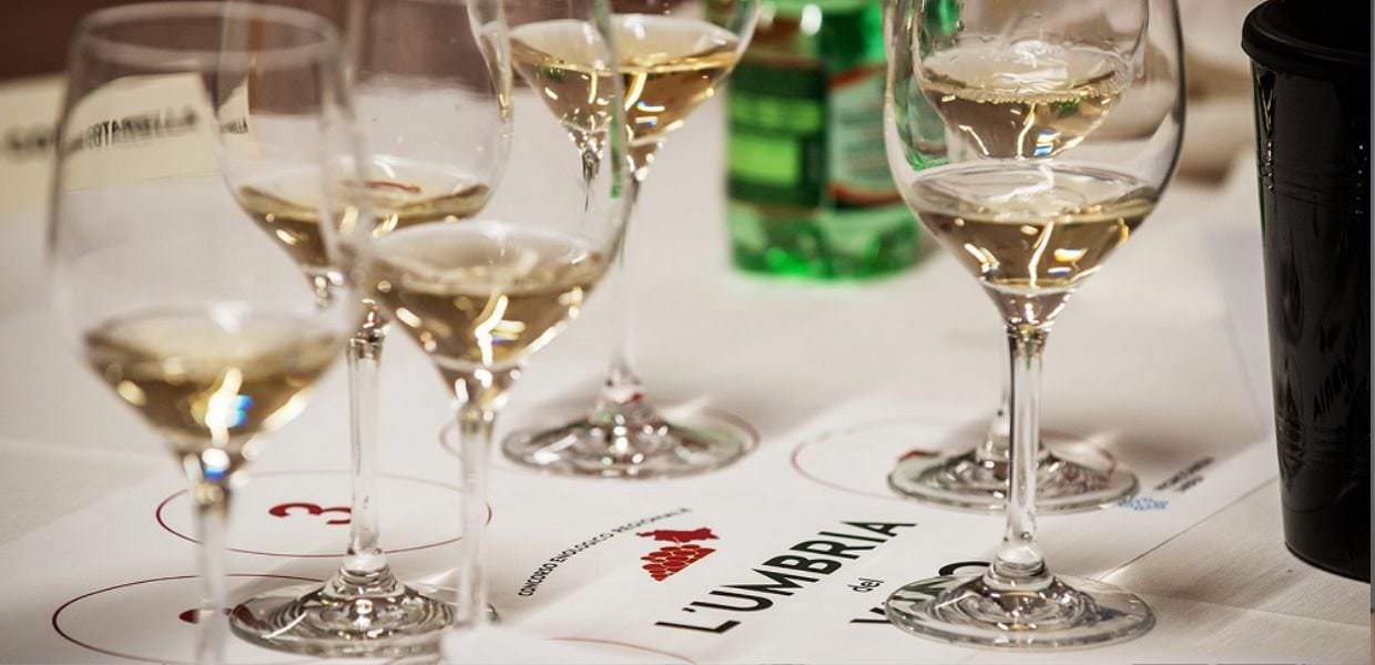 Enologia, “L’ Umbria del vino’, mercoledì 21 febbraio la proclamazione delle cantine vincitrici