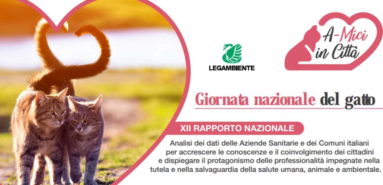 Giornata nazionale del gatto, il focus di Legambiente sulla situazione dei felini nelle città
