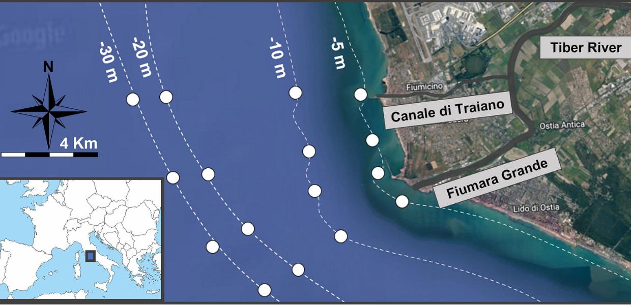 Microplastiche, quelle che trasporta il Tevere arrivano a sei km dalla costa. Lo studio