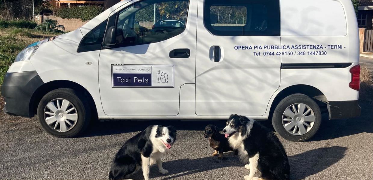 Terni, al via il 'Taxi pet' per il trasporto degli animali domestici