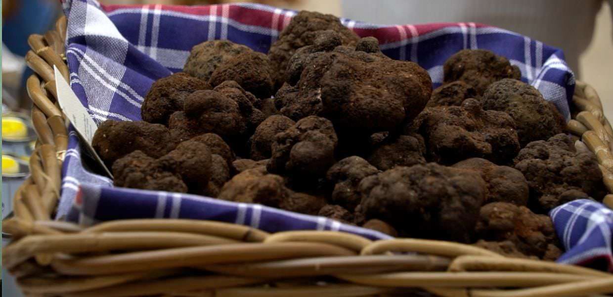Umbria, al via Nero Norcia, la mostra mercato del tartufo nero pregiato