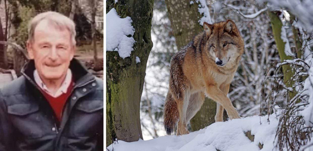 Morte di Albert Stocker, il lupo è innocente