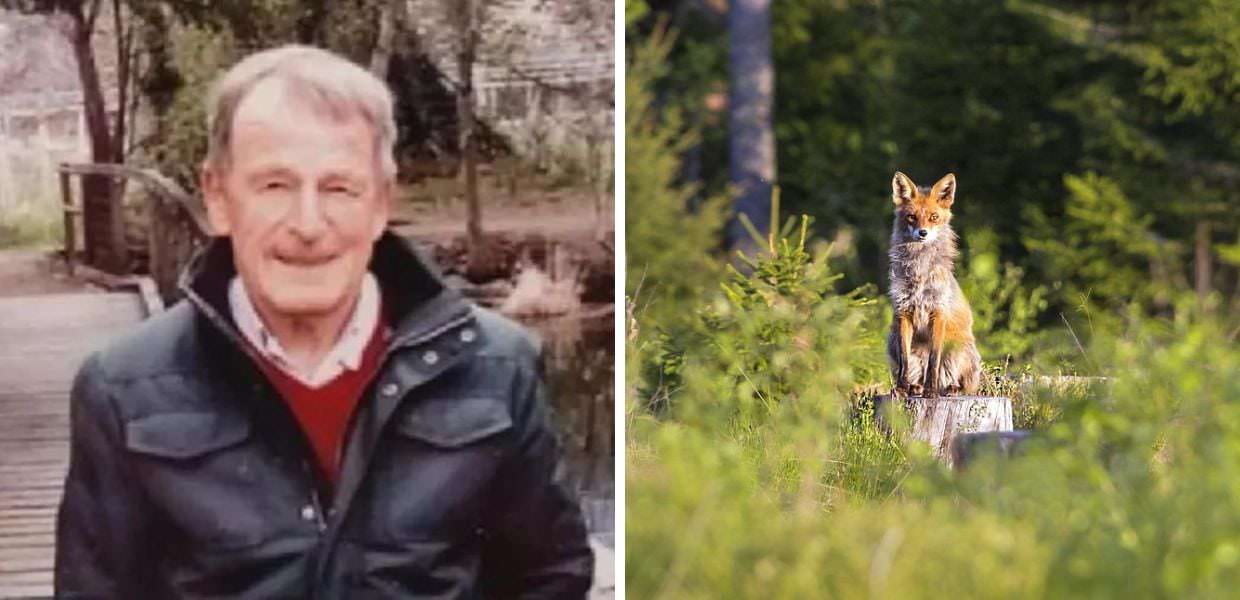 Morte di Albert Stocker, i morsi sul corpo sono di una volpe