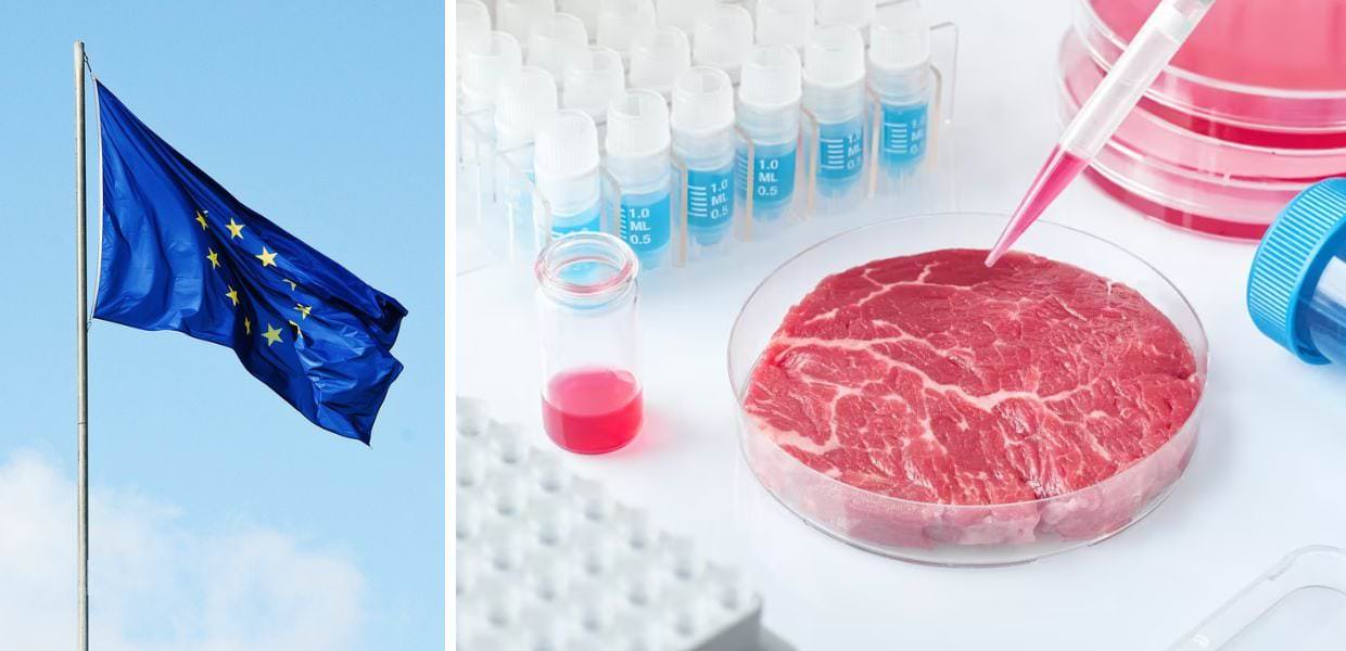Carne coltivata, UE: "Nessuna osservazione di merito sulla legge italiana"