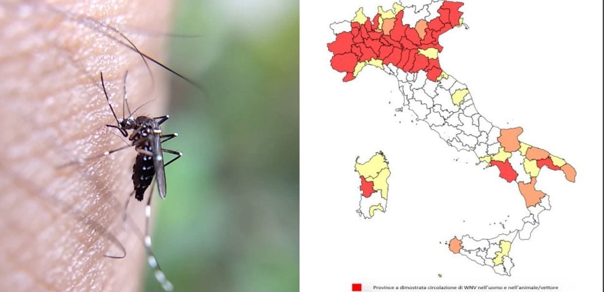 clima west nile europa
